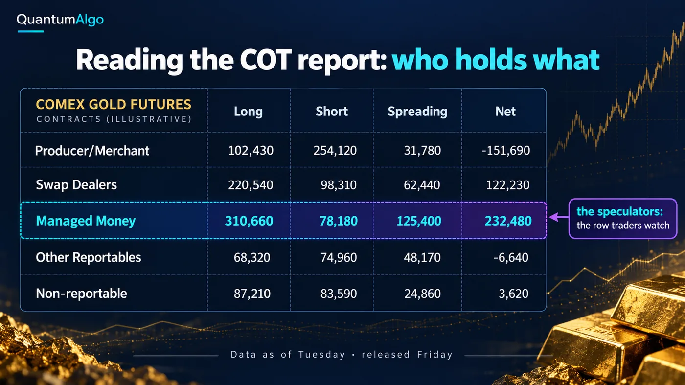 A dark table-style infographic of the COT report for COMEX gold futures with rows for Producer/Merchant, Swap A dark table-style infographic of the COT report for COMEX gold futures with rows for Producer/Merchant, Swap Dealers, Managed Money, Other Reportables and Non-reportable, and columns for long, short, spreading and net, the Managed Money row highlighted as the speculators traders watch, and a footer reading data as of Tuesday, released Friday