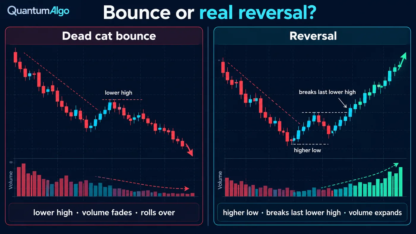 Zwei Panels nebeneinander: links Dead Cat Bounce, ein Abwärtstrend mit niedrigerem Hoch und nachlassendem Volumen, während der Preis abdreht; rechts Reversal, ein Abwärtstrend, der ein höheres Tief bildet, das letzte niedrigere Hoch bricht und bei expandierendem Volumen steigt
