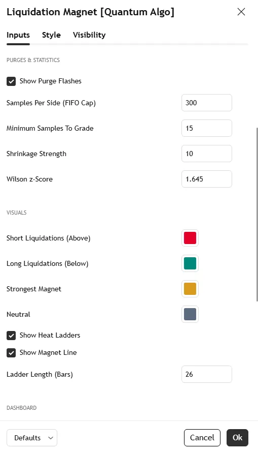Liquidation Magnet settings panel: swing anchor length, leverage tier toggles, maximum clusters, merge tolerance, mass decay, visuals, statistics options