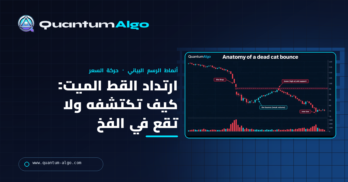 ارتداد القط الميت: ما هو، وكيف تكتشفه، وكيف لا تقع في الفخ — دليل Quantum Algo